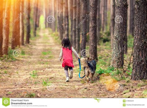 Little Girl Walking With Big Dog Stock Photo Image Of Child Girl