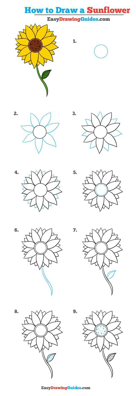 How to Draw a Sunflower - Really Easy Drawing Tutorial ... Begin by drawing a circle.