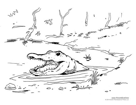 Alligator Facts for Kids