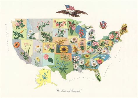 Flower Map Print Of The United States Our National Etsy In 2020