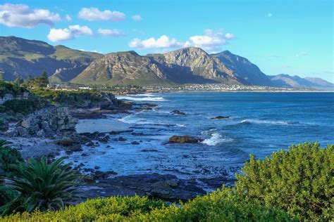 Top Accommodation In Hermanus Western Cape Home Food And Travel