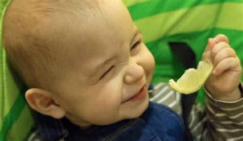 Amazing Reaction Of Babies Eating Lemons For The First Time VIDEO