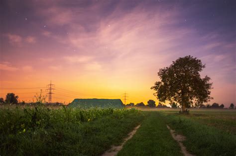 Summer Field At Sunset Royalty Free Stock Photo And Image