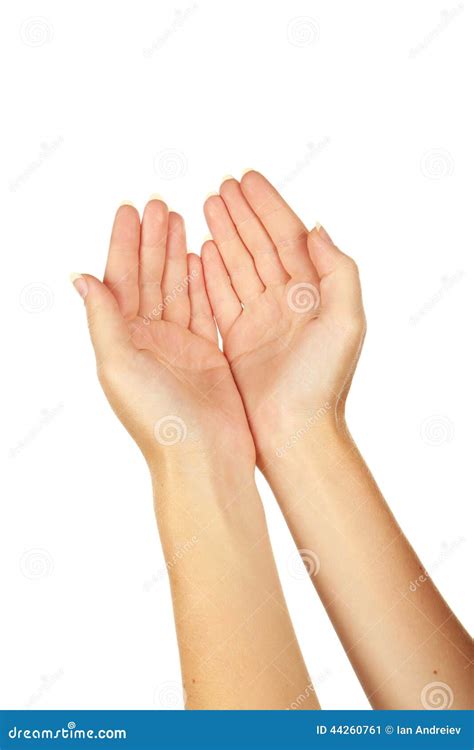 Female Hand Gestures Close Up Stock Image Image Of People White