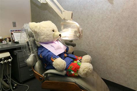 Dentist Even Teddy Bears Have To See The Dentist Every Yea Flickr