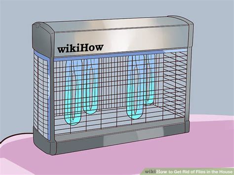 The most common fly species, is found throughout as if their mere presence wasn't enough of a reason to get rid of flies in your home, these insects also a licensed pest control expert can identify the places where flies may be gathering, breeding, or. How to Get Rid of Flies in the House | Get rid of flies ...