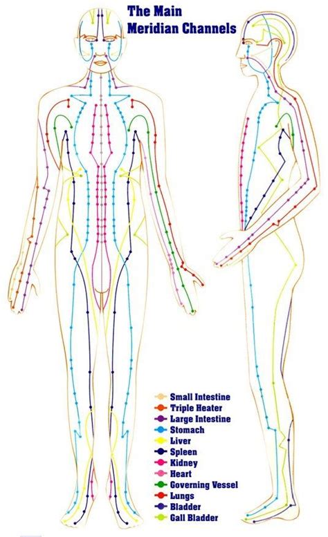 Maybe you would like to learn more about one of these? According to Traditional Chinese Medicine, the human body ...