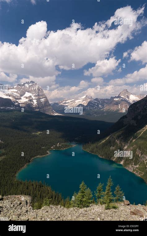 Elk203 2305v Canada British Columbia Yoho National Park Lake Ohara