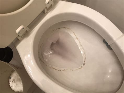 A video of a young woman flushing her fish down a toilet when she thought he had died has gone viral. Natural Cleaner To Sanitize Your Toilet Bowl And To Get ...