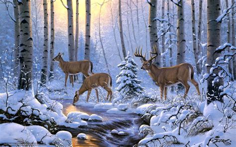 38 Winter Deer Wallpapers Backgrounds Wallpapersafari