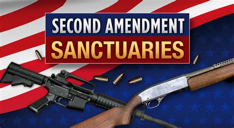 Michigan Township Declares Second Amendment Sanctuary Forms Militia
