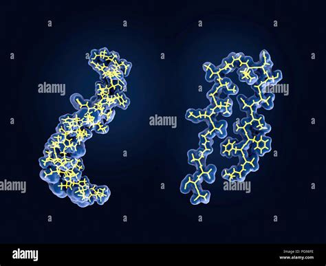 Amyloid Protein Structural Changes Hi Res Stock Photography And Images