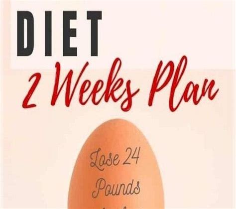 The Boiled Egg Diet Lose 24 Pounds In Just 2 Weeks Dailygreenhouse