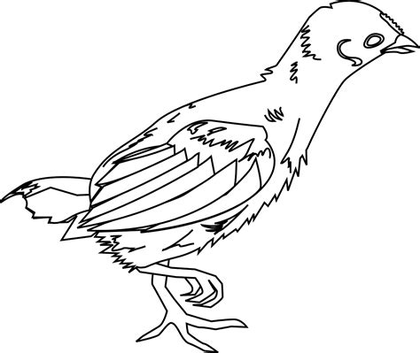 Mewarnai gambar ayam jago nan unik chickens farm animal coloring. Mewarnai Gambar Ayam Free Download - BLOG MEWARNAI