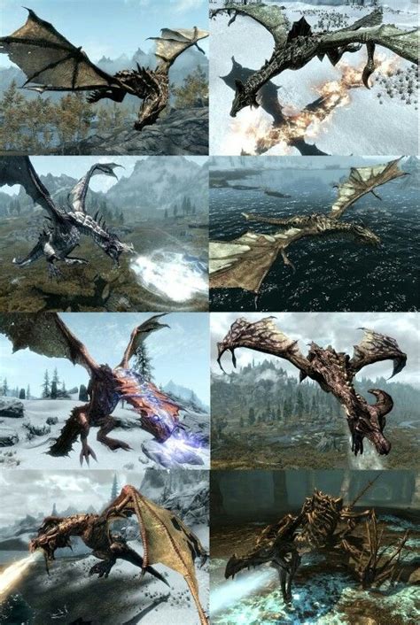 Skyrim Dragon Glitch 