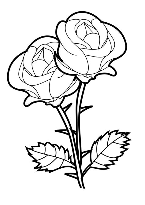 Get your kid to color these dental coloring pages printable and teach him a thing or about dental care: Free Printable Roses Coloring Pages For Kids