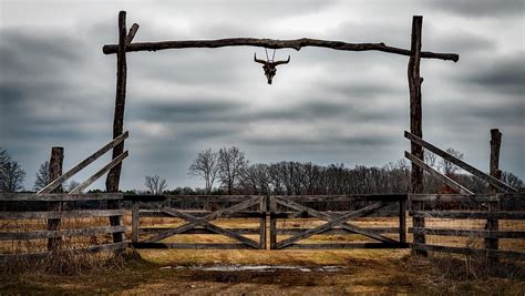 Texas Cattle Ranch Photograph By Mountain Dreams