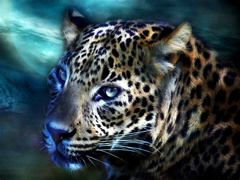 Bakgrundsbild Vilda Djur, Jaguar, Djur 🔥 Ladda Ner Skrivbordsbilder