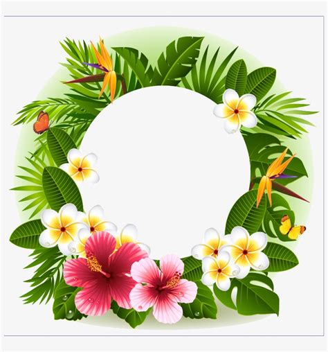 Tropical Flower Decorative Borders Tropical Flower Frame Png Png