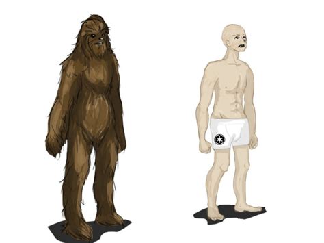 The anagen, or hair growth phase, is the first phase of hair growth, lasting between two to six years. HOW TO MAKE A HAIRLESS WOOKIEE: IDENTIFICATION AND ...