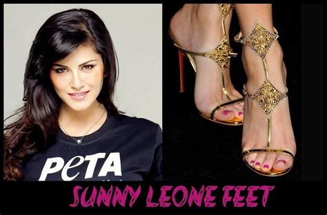Sunny Leone Feet Bollywood Wikifeet Wikigrewal Flickr