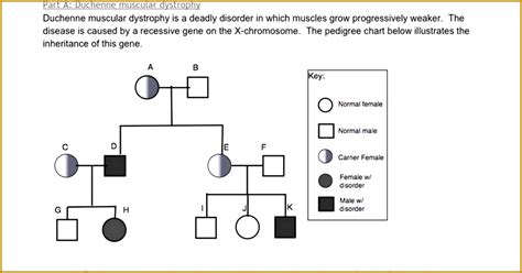 Nov 28, 2021 · in human genetics pedigree diagrams are used to trace the inheritance of a specific. Human Karyotype And Pedigree Analysis Answer Key ...