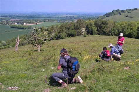 Chilterns Walking Festival — Pipsticks Walks