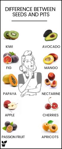 Fruits With Seeds In Them Thesuperhealthyfood