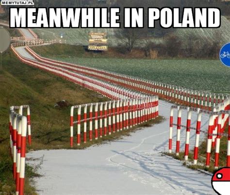 Find the newest poland meme. The 50 Funniest 'Meanwhile in Poland...' Memes