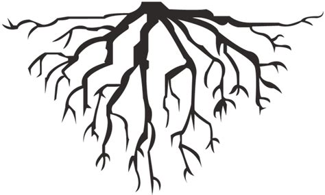 Simple Tree Presents For Mom Tree Roots Clipart Images Stomach