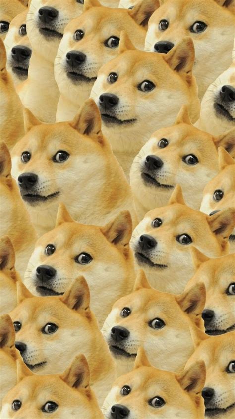 Doge Wallpaper Hd Dog Wallpaper Dog Wallpaper Iphone Doge Meme