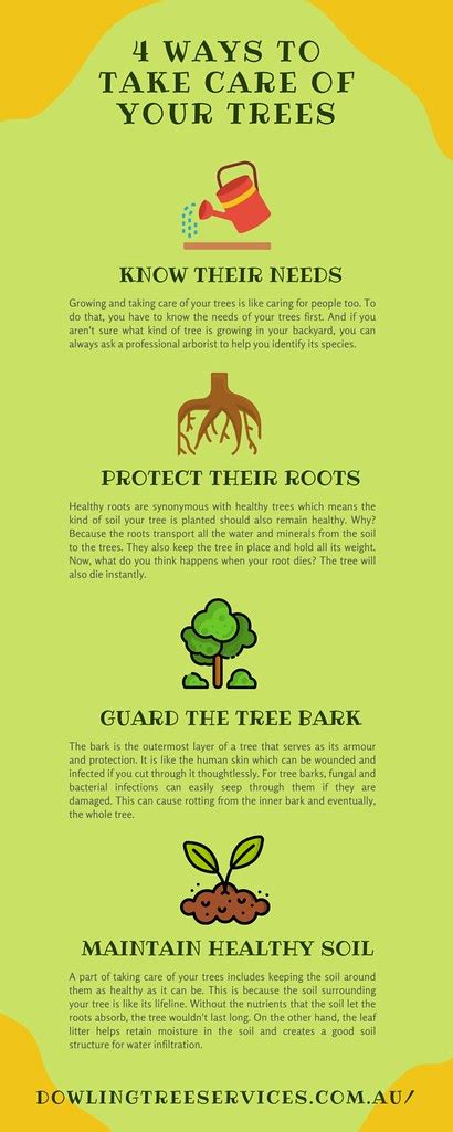 4 Ways To Take Care Of Your Trees Trees Provide More Than Flickr