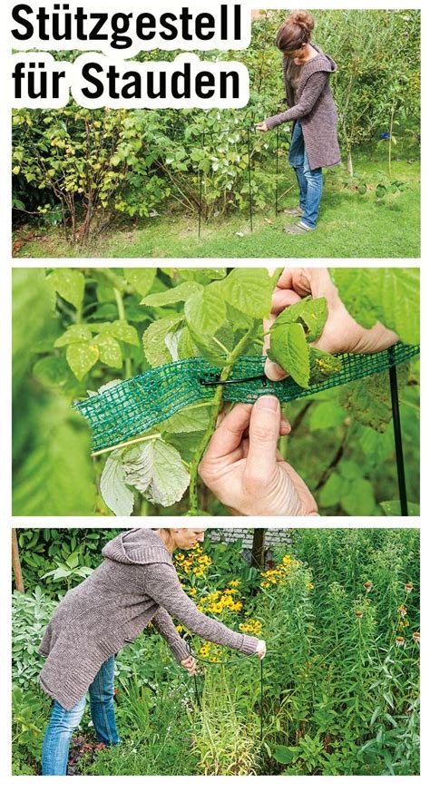 Gärtner pflanzen stauden für die buga koblenz 2010. Stauden pflanzen | selbst.de | Stauden pflanzen, Garten ...