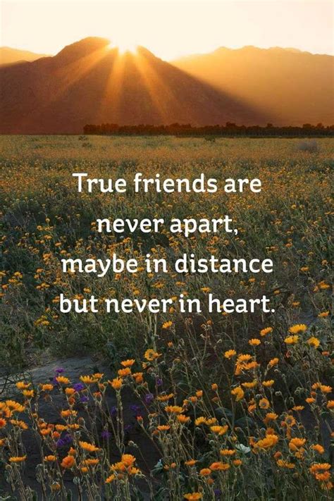 59 True Friendship Quotes – Best Friends Forever Quotes – Page 3 – Boom
