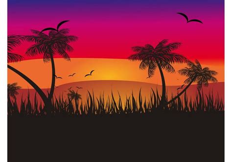 Tropical Sunset Download Free Vector Art Stock Graphics And Images