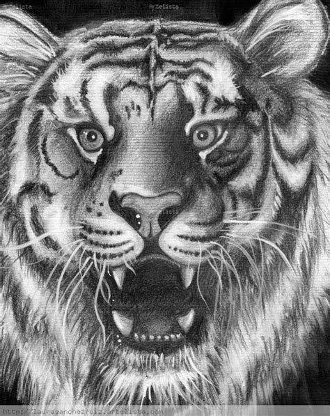Tigre Laura Inés Sánchez Ruiz