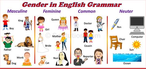 Gender In English Masculine Feminine Common Neuter Selftution