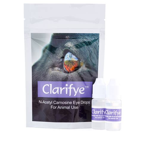 Clarifye Canine Eye Drops For Cataracts May Help Your Dog Ace Canine