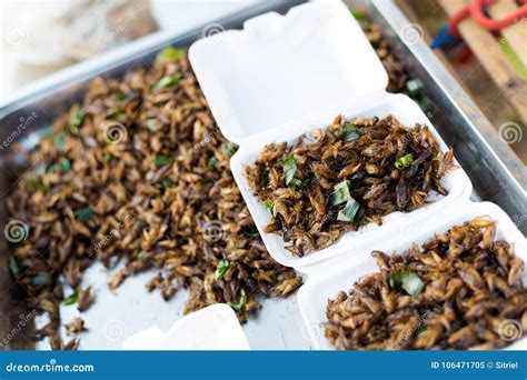 Thai Snack Fried Crickets Stock Image Image Of Meal 106471705