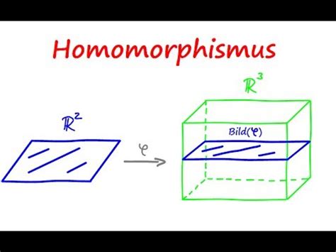 Eine einfiihrung in die wissenschaft der vektoren, abbildungen und matrizen. LINEARE ABBILDUNG / Homomorphismus einfach erklärt! | Math ...