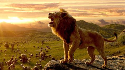 Le Roi Lion 2019 Film Complet Français