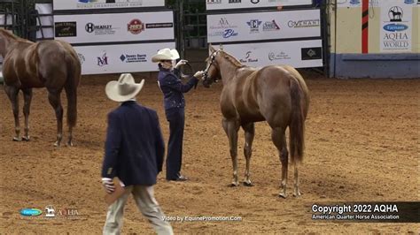 2022 Farnam Aqha And Adequan Select World Select Yearling Fillies Youtube