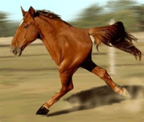 Retarded Running Horse Two Legged Horse Know Your Meme