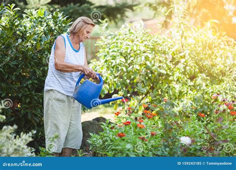 Elderly Woman Watering Plants In Her Garden Stock Image Image Of Growth Retired