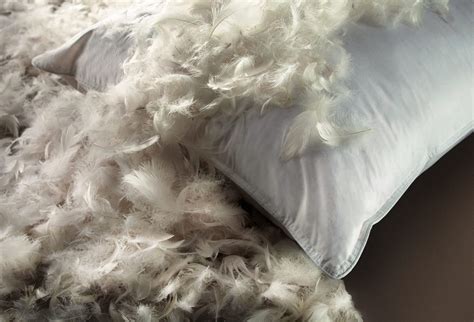7 Best Feather Pillows Reviewed In Detail Fall 2023
