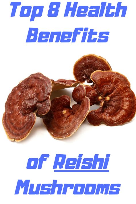 Top 8 Health Benefits Of Reishi Mushrooms Medicinal Mushroom 101