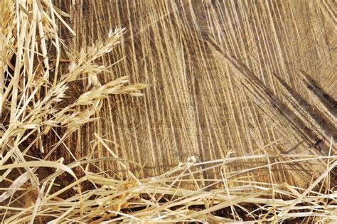 Detail Of Wooden Cut Texture And Dry Grass Hay Frame Stock Photo