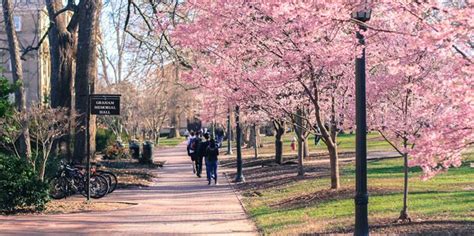 We've implemented a strategy that insures we benefit our citizens and our economy along with the environment. Spring Festivals & Events in Chapel Hill, NC | Apartments.com