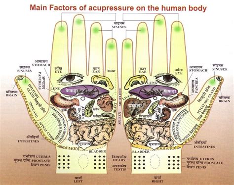 Hand Reflexology Charts Tips For Recognizing A Good Reflexology Hand Chart Reflexology Hand
