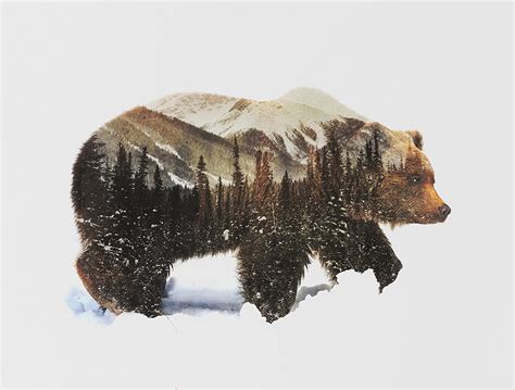 Double Exposure Portraits Of Wild Animals That Reflect Their Habitat